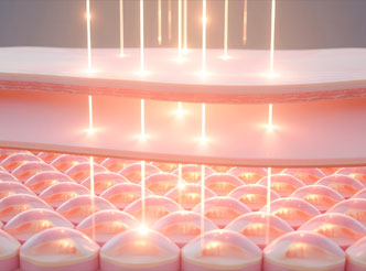 皮肤创面其他相关领域模型数据