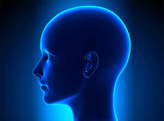 面部系统领域模型数据