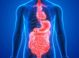 代谢系统领域模型数据