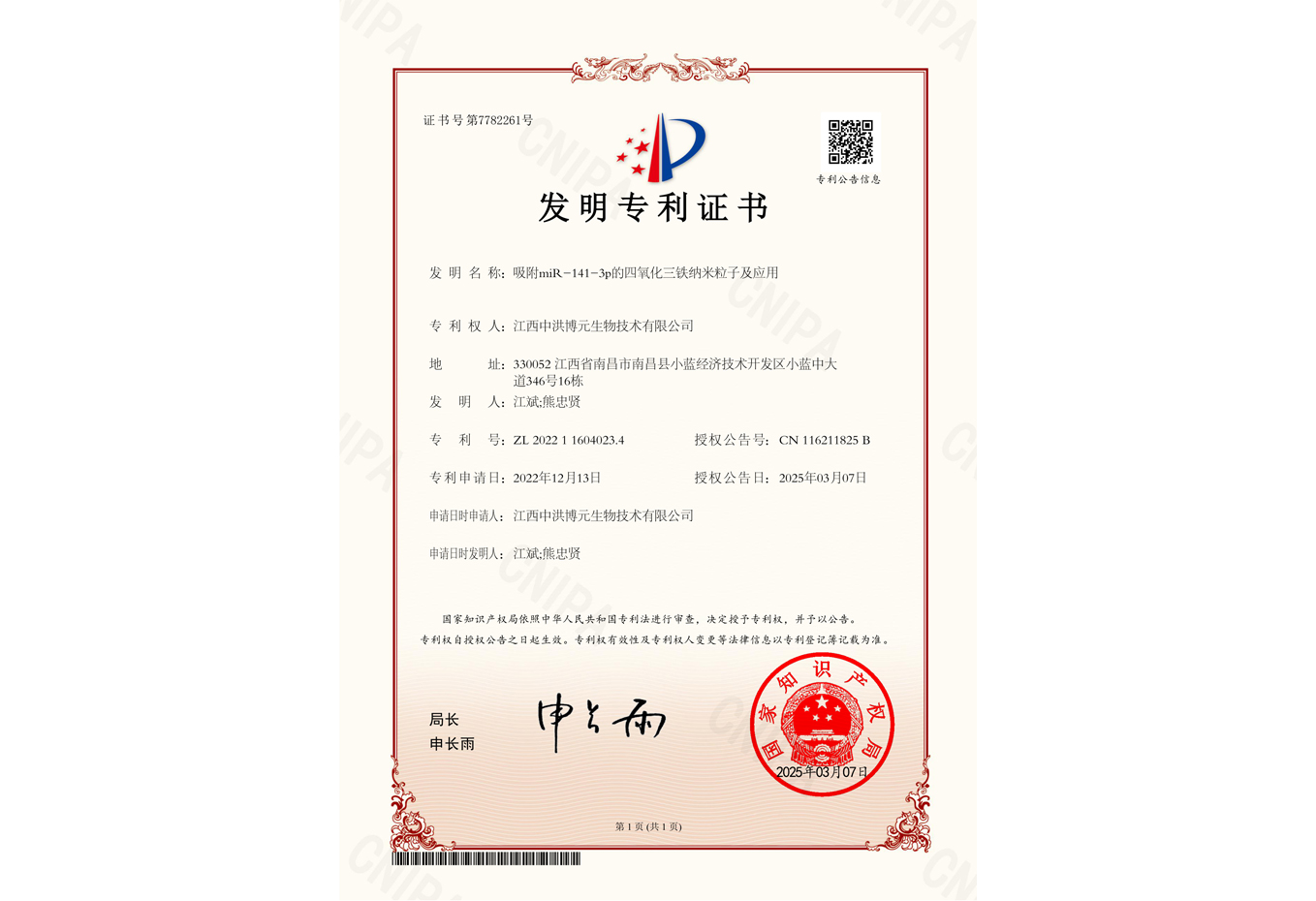 吸附miR-141-3p的四氧化三铁纳米粒子及应用