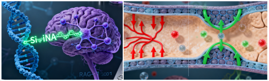 鞘内给药破局CNS壁垒：RAG-17锚定小核酸赛道神经治疗高地