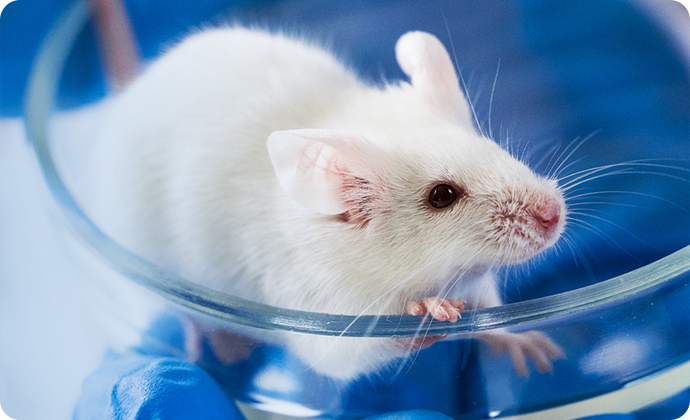 核心政策对比&mdash;&mdash;818 VS 828：双轨制确立，一文看懂&ldquo;药&rdquo;与&ldquo;术&rdquo;的分水岭